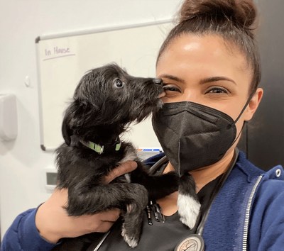IndeVets Expands to Detroit, Michigan
