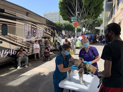 ElleVet Sciences Launches National Nonprofit - "The ElleVet Project" - To Expand Efforts To Provide Free Veterinary Care, Food, Supplies to pets of the Homeless And Street Pets