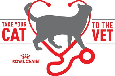 Cat Lover Kat Dennings Urges Cat Owners to Take Their Cat to their Veterinarian Every Year