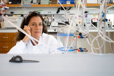 Host Genetic Backgrounds Underlie Variable COVID-19 Pathology