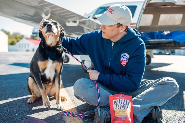 Stella & Chewy's Partners with Pilots To The Rescue to Fly Senior Shelter Pets to New Homes
