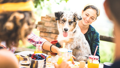 4 Ways Pet Parents Can Stay Close to Their Pets Coming Out of the Pandemic
