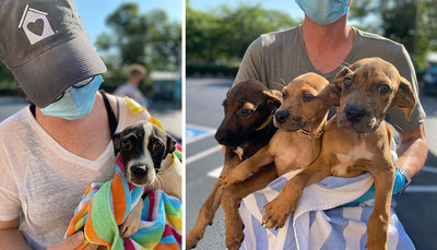 PEDIGREE Foundation® Awards over $760,000 in Grants to Help End Pet Homelessness