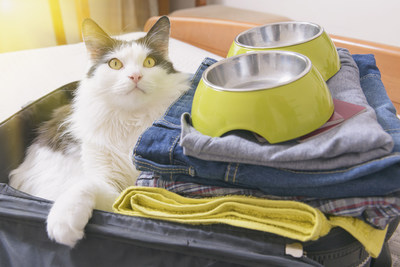 4 Helpful Tips for Flying with Pets