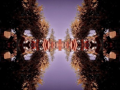 Artmarket.com: he aquí por qué el mercado del arte, a través de la revolución de los NFT, disfrutará de un crecimiento exponencial con Artprice