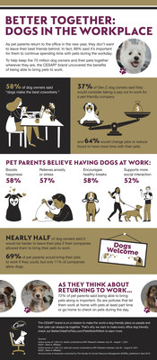 The Benefits of Dogs in the Workplace