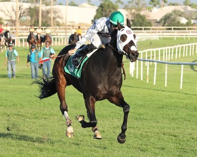 RAGS TO RICHES: SHINNY LOOKING TO REACH MILESTONE WIN