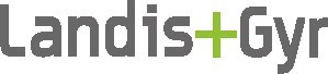 Landis+Gyr diversifica sus acciones en la sociedad mixta de Intellihub