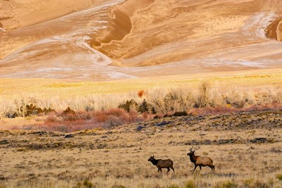 Year in Review: Supporting National Parks in 2021