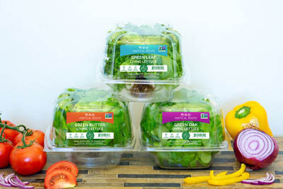 Food Lion Expands Hydroponic Produce Selection with Introduction of Vertical Roots Lettuce at 303 Stores
