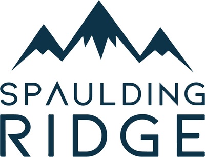 Spaulding Ridge incorpora a Silvr Lining Group