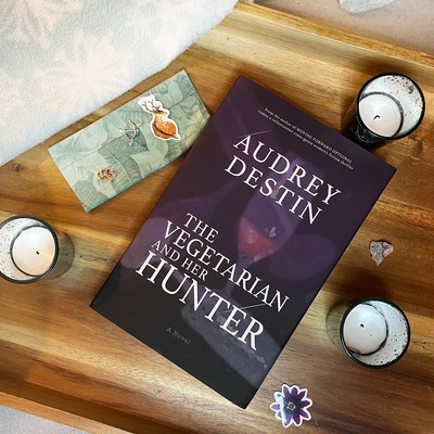 Escape The Winter Blues with a Fresh Thriller From Audrey Destin