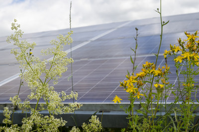 Quercus firma un acuerdo con BayWa r.e. para la adquisición de 700 MW de desarrollo fotovoltaico en España
