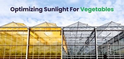 UbiQD Shares New Greenhouse Case Studies, Launches UbiGro.com AgTech Website