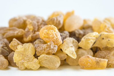 PLT Confirms Sustainability of Boswellia serrata Supply through Third-Party Audit