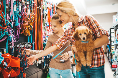 4 Tips to Make Adopting a Dog a Paws-itive Experience