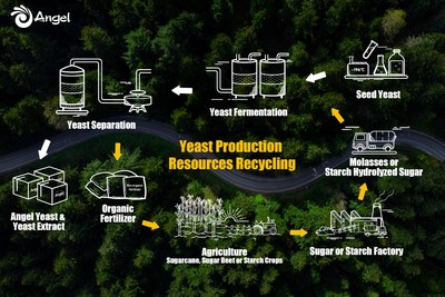 Angel Yeast intensifica las medidas bajas en carbono para promover el desarrollo sostenible global