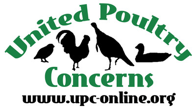 United Poultry Concerns Urges Tractor Supply Company to Stop Selling Chicks & Ducklings