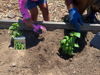 Nurseries donate to address food insecurity through 'Plant a Better Tomorrow' program