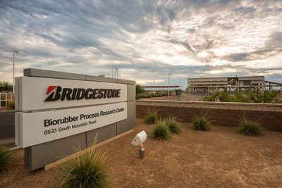 Bridgestone Awarded Department of Energy Grant to Advance Guayule Natural Rubber Research