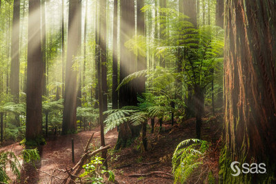 Digital transformation results in greater membership retention and revenue for The Nature Conservancy
