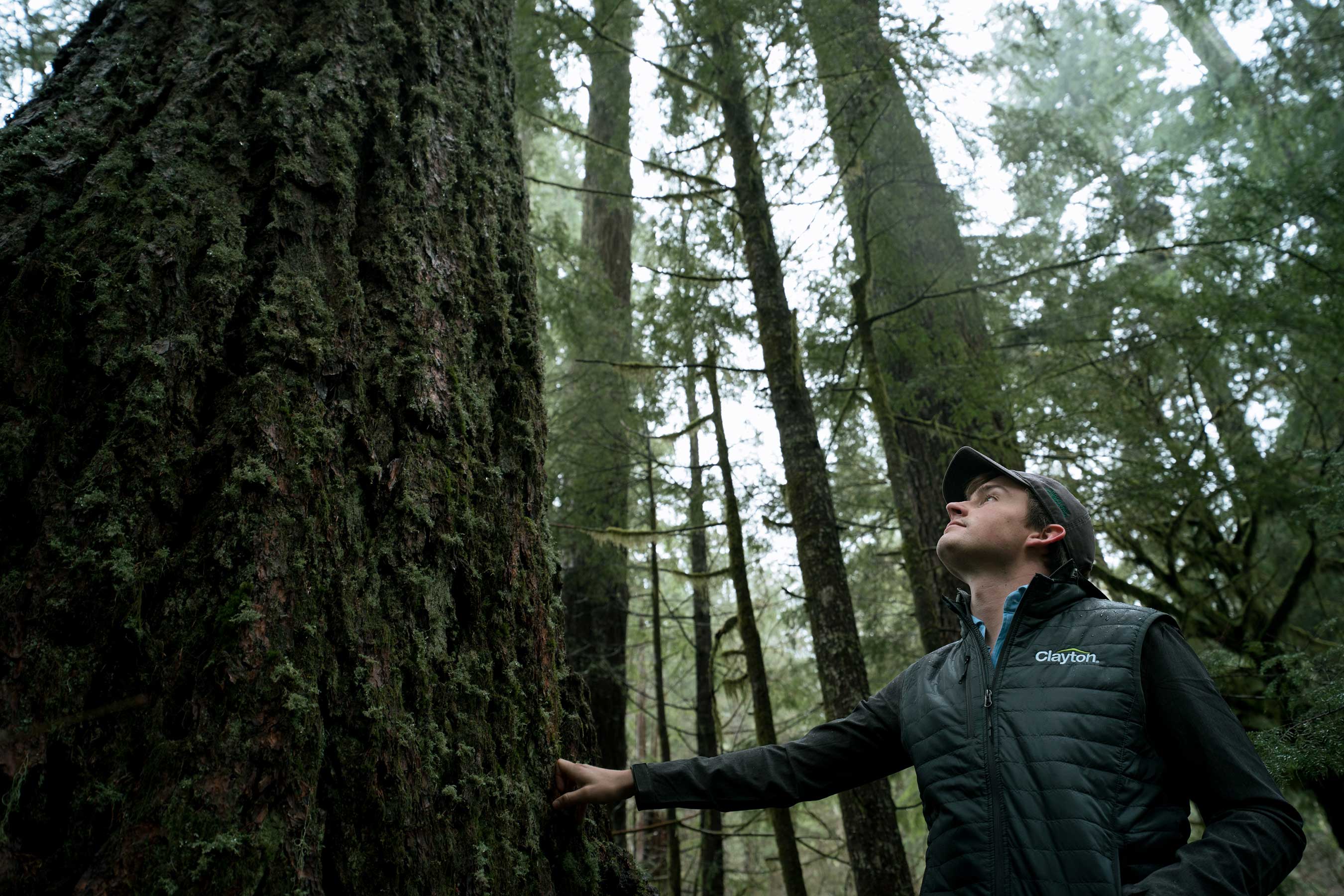 Clayton® to Plant More than Two Million Trees in 2022 in Partnership with the Arbor Day Foundation