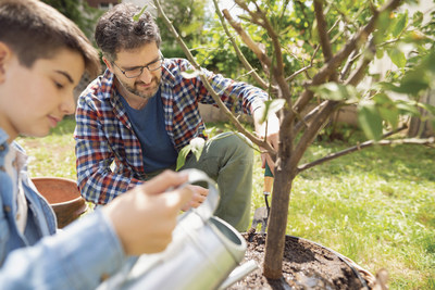 Tree Talk