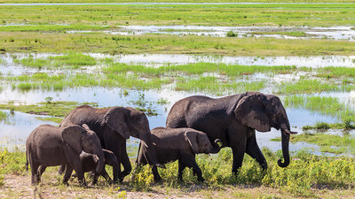 Africa Is Popular Choice for First-time Solo Travelers, According to Overseas Adventure Travel