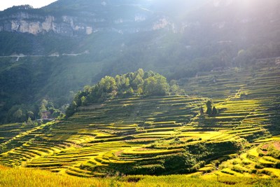 Proyectos de bienestar público impulsan la revitalización rural en Chongqing