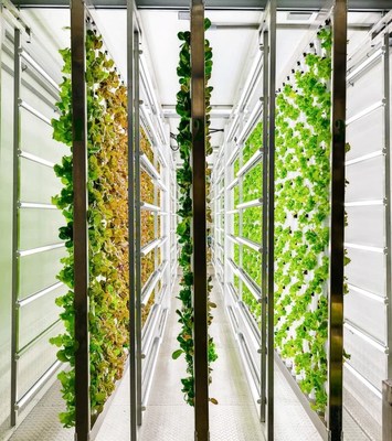 Are High-Tech Containers the Future of Farming?