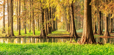 Atlas-SSI Launches Sustainability Program to Recognize Carbon Dioxide Reduction Achieved by Rebuilding Travelling Water Screens