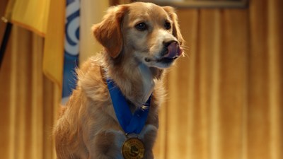 THE PEDIGREE® BRAND LAUNCHES ESSENTIAL SUPPORT DOGS PROGRAM TO CELEBRATE DOGS AND PROVIDE UP TO $2.5 MILLION IN SUPPORT AND NUTRITION FOR PETS IN NEED