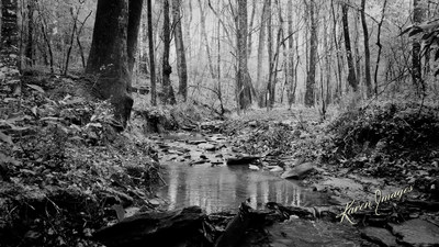 Karen Images Launches Drone Operations in Atlanta with Suspense Thriller, "Murder at Hyde Farm"