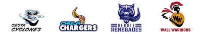 Ever Dreamed of Owning a Sports Team?