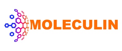 Moleculin to Present at the H.C. Wainwright Global Investment Conference