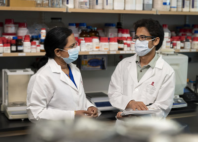ZBP1 links interferon treatment and dangerous inflammatory cell death during COVID-19