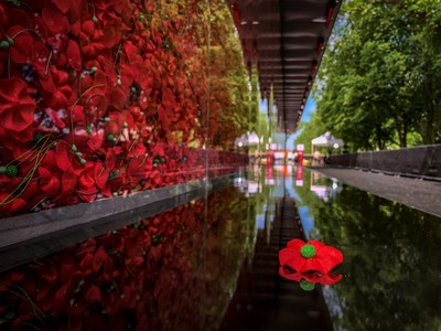 USAA's Poppy Wall of Honor Heads to National Mall for Memorial Day Weekend to Remember Fallen Military