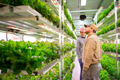 AmplifiedAg Increases Better Fresh Farms Production 50% with New Indoor Farm and AmpEDGE Operating System