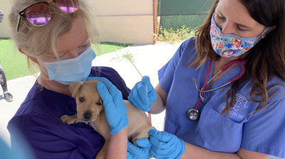"The ElleVet Project" Announces Return To California & Nevada For 2nd Mobile Relief Tour - Expanding Efforts To Provide Free Veterinary Care, Food, Supplies To Thousands of Homeless And Street Pets