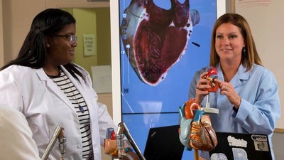 Bryant University secures $650,000 National Science Foundation grant to fund STEM Scholars program