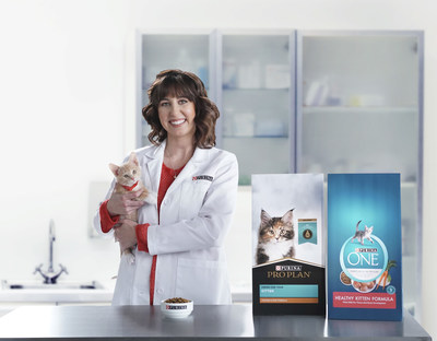 How Long Is Your Cat A Kitten? New Survey Shows A Majority of Kitten Owners Are Divided On The Answer