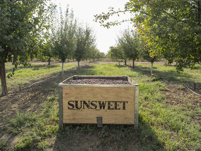 Actualización sobre la cosecha y el mercado mundial de ciruelas pasas: primavera de 2026
