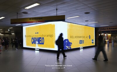 PEDIGREE® utiliza inteligencia artificial para impulsar la adopción responsable de perros en Brasil