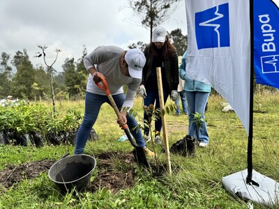 Bupa acelera su agenda de Sostenibilidad en Latinoamérica a través de la iniciativa 'BGLA Green'
