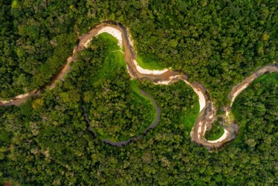 Idesam lanza un desafío global de I + D para convertir la biodiversidad Amazon en negocios impulsados por el impacto