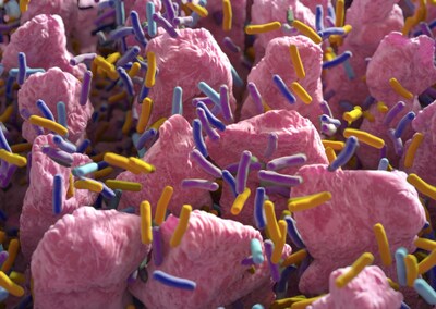 Purina Institute impulsa la conversación sobre la innovación del microbioma en la medicina veterinaria